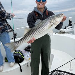 Striped Bass NB1 caught 02May26-1.JPG