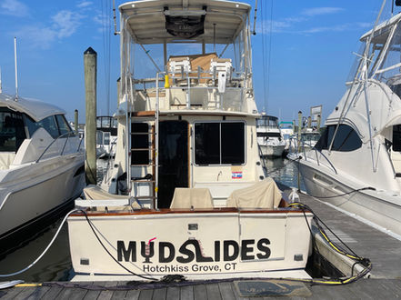 Mudslides guest photo